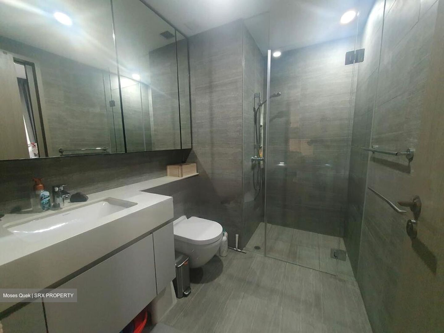 The Garden Residences (D19), Apartment #478284421